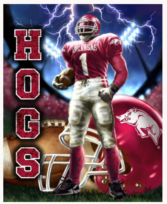 Arkansas Razorbacks Anti Pill Fleece Panel Blanket 48"x60" Sykel ARK-610