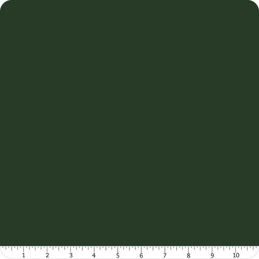 Confetti Cotton Solid Crocodile Riley Blake Designs Cotton Fabric RB-C120-CROCODILE