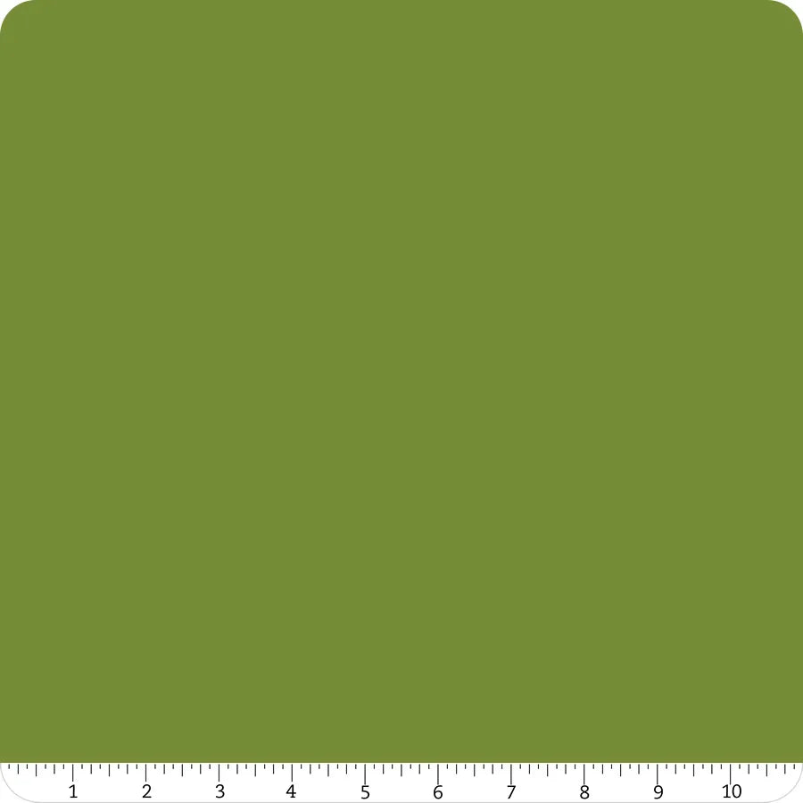 Confetti Cotton Solid Lily Pad Green Riley Blake Designs Cotton Fabric RB-C120-LILYPAD
