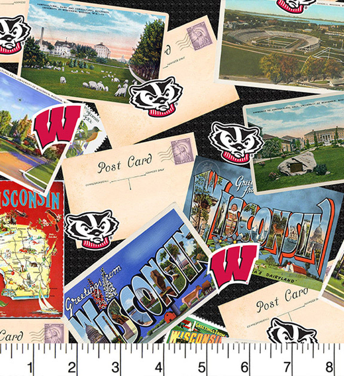 Wisconsin Badgers NCAA College Postcard Print Sykel Enterprises Cotton Fabric WIS-1211