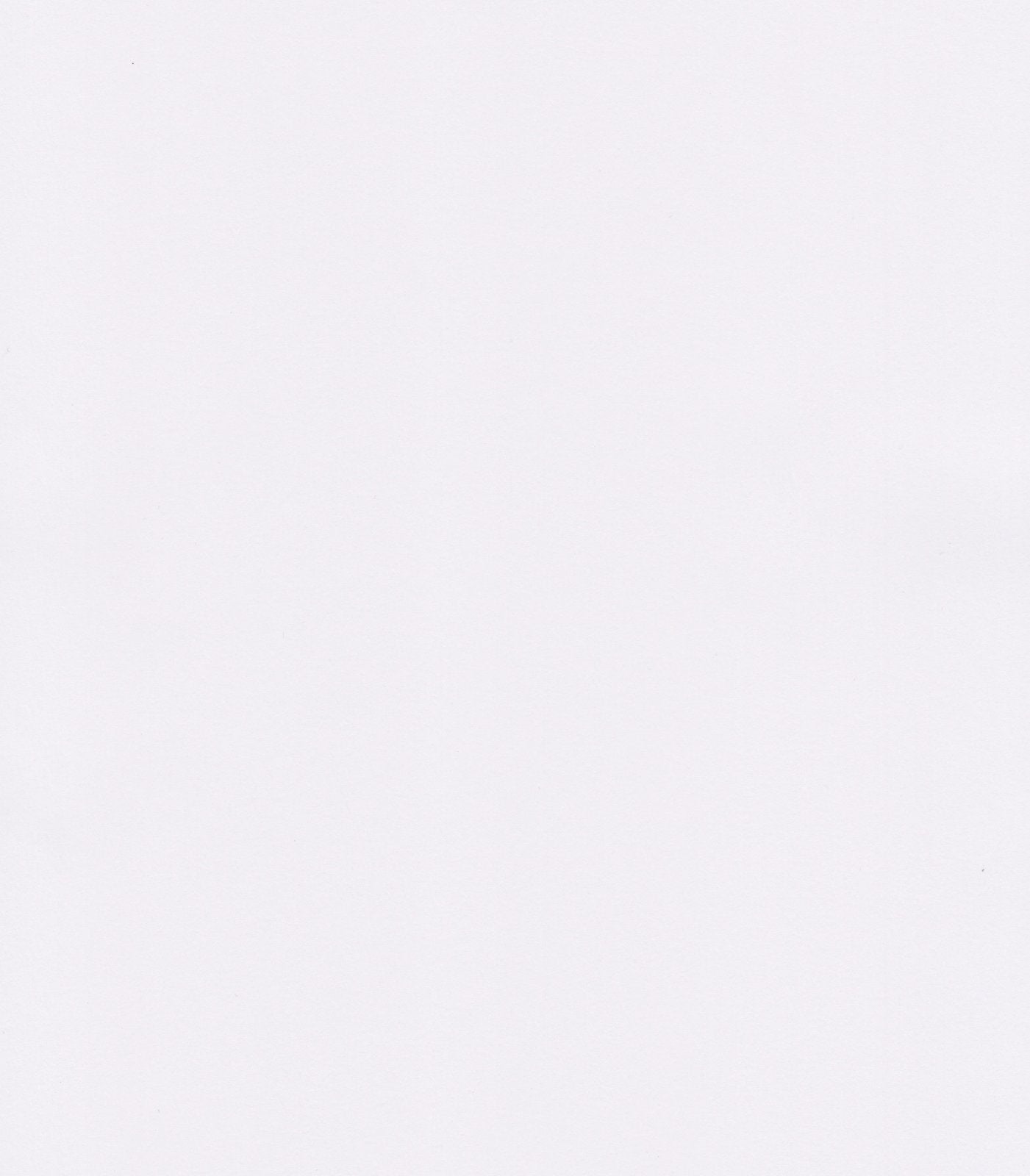 (SOLD PER BOLT) Americana Solids White Foust Textiles Cotton Fabric FT-White-FB