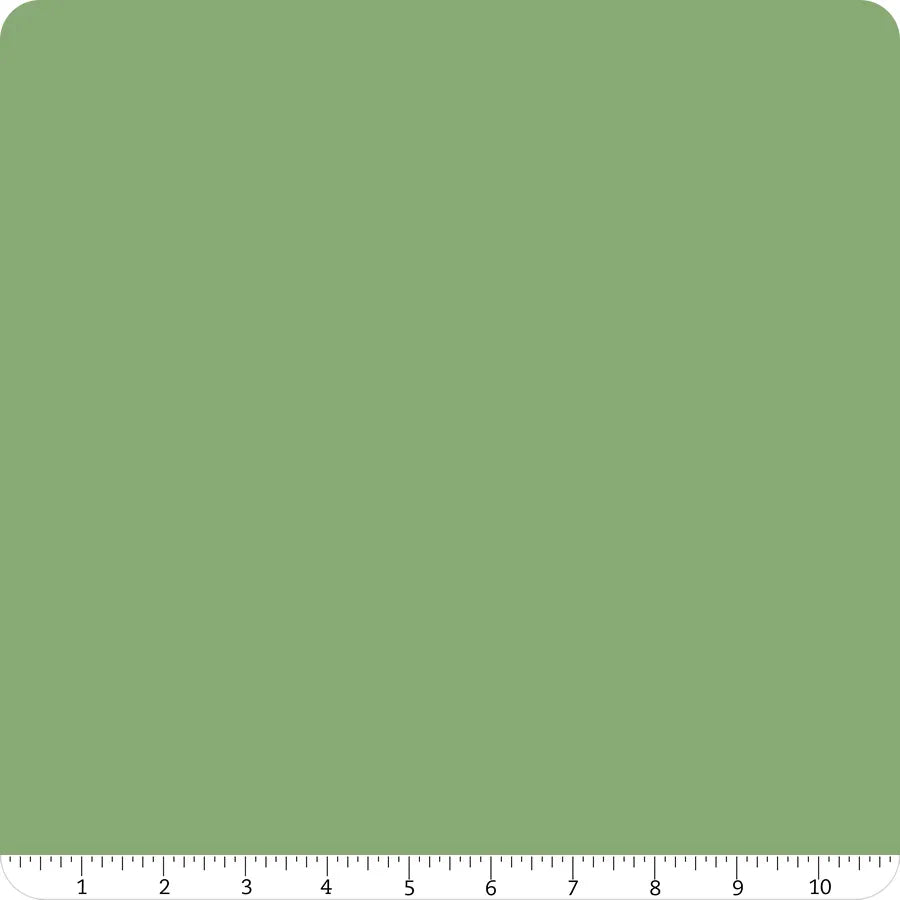 Confetti Cotton Solid Cactus Riley Blake Designs Cotton Fabric RB-C120-CACTUS