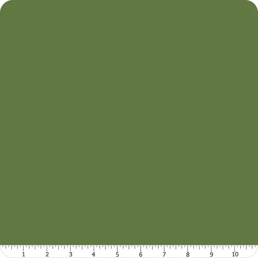 Confetti Cotton Solid Hunter Riley Blake Designs Cotton Fabric RB-C120-HUNTER