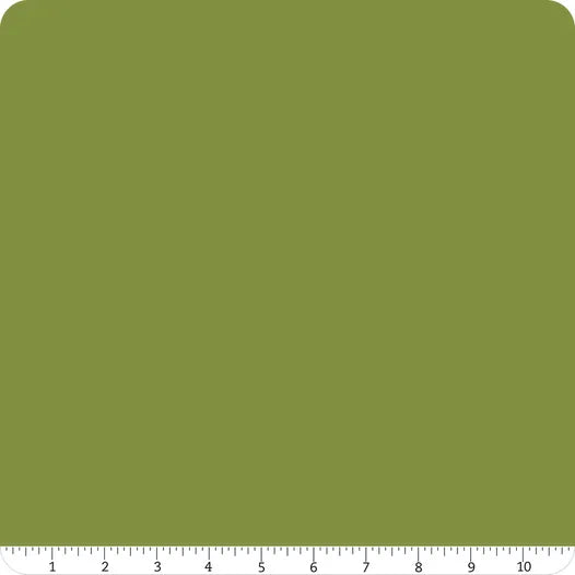 Confetti Cotton Solid Olive Riley Blake Designs Cotton Fabric RB-C120-OLIVE