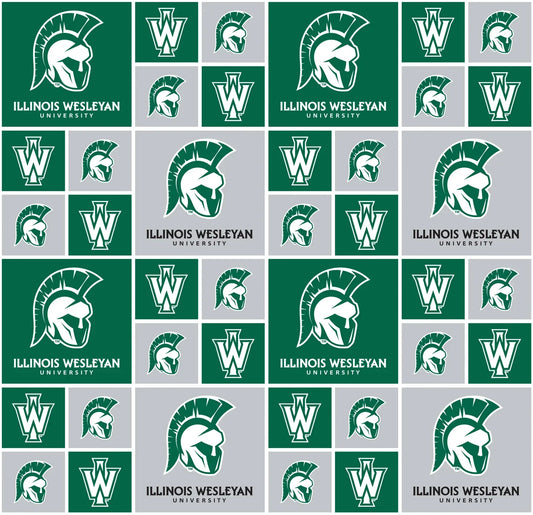 Illinois Wesleyan Titans NCAA College Geometric Box Sykel Enterprises Cotton Fabric ILW-020