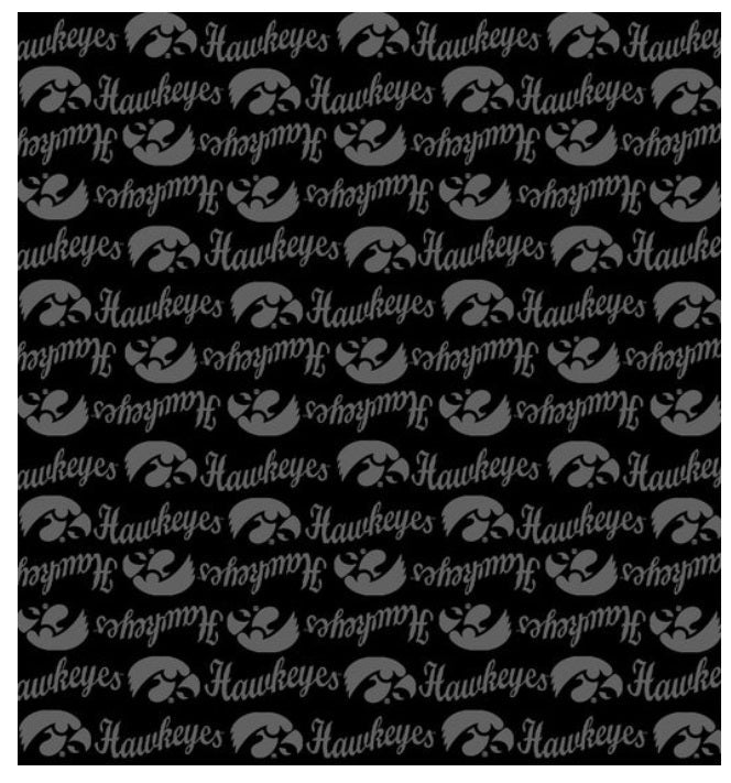 Iowa Hawkeyes NCAA College Back on Black Mini Pigment Print Sykel Enterprises Cotton Fabric IA-1393-BL