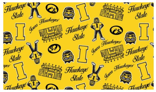 Iowa Hawkeyes NCAA College Mini Stadium Logo Sykel Enterprises Cotton Fabric IA-1389