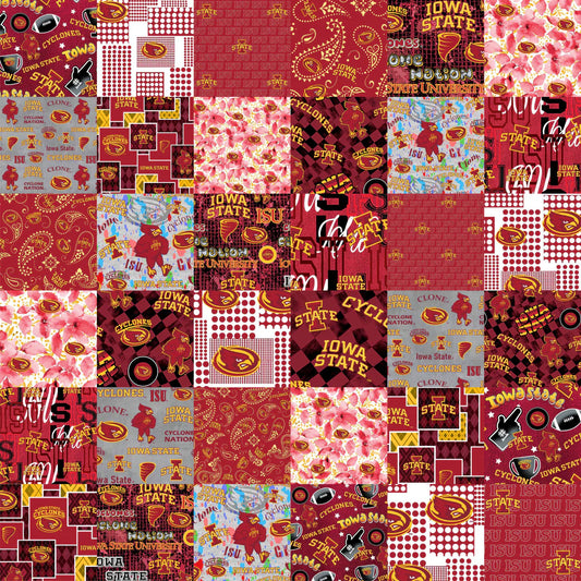 Iowa State Cyclones NCAA College Cheater Quilt Allover 60" Sykel Cotton Fabric ISU-1363