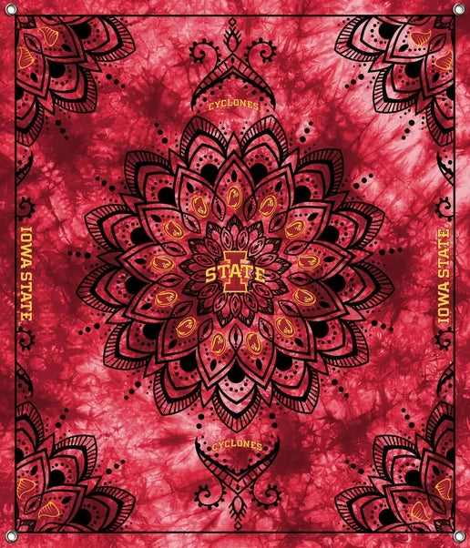 Iowa State Cyclones NCAA College Tapestry Spirit Banner 58x47 inches Sykel Enterprises 4 Grommets Polyester Fabric ISU-5001
