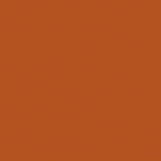 (SOLD PER BOLT) Midas Touch Solids Burnt Orange Sykel Cotton Fabric SYK-370/19-BurntOrange-FB