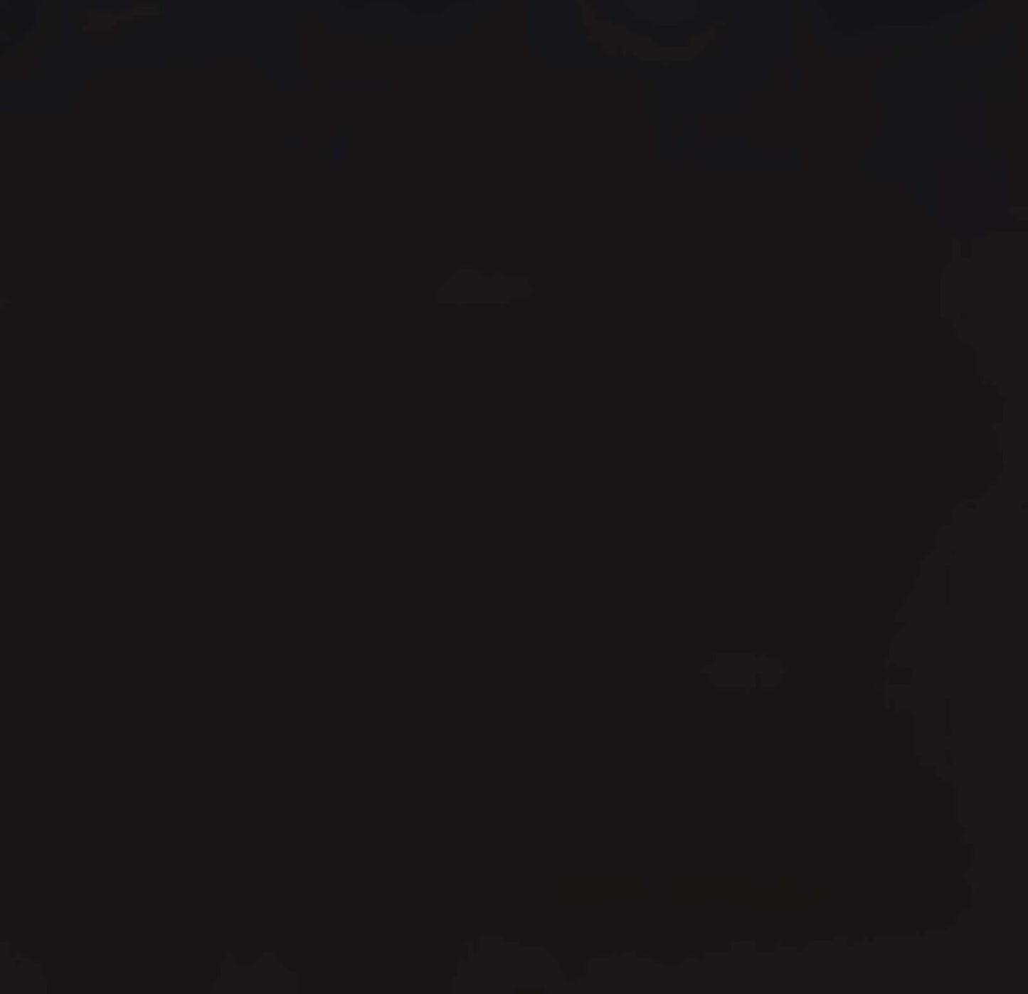 (SOLD PER BOLT) Oasis Solids Black Oasis Fabrics Cotton Fabric OA-622001-053-Black-FB