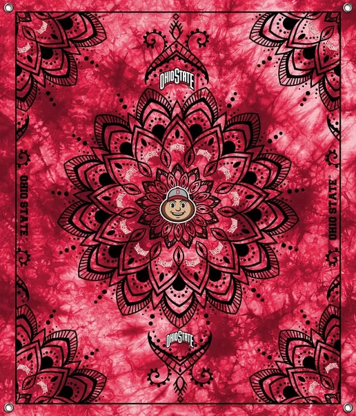 Ohio State Buckeyes NCAA College Tapestry Spirit Banner 58x47 inches Sykel Enterprises 4 Grommets Polyester Fabric OHS-5001
