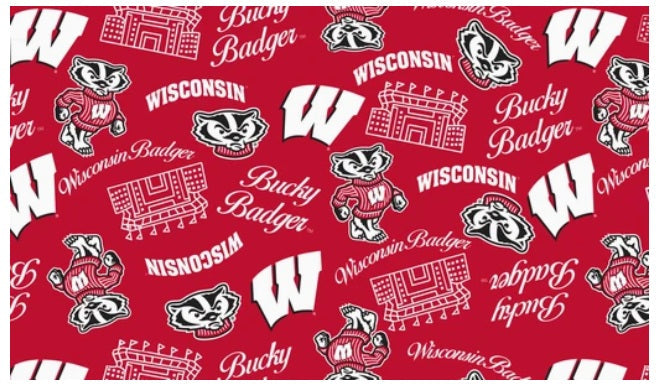 Wisconsin Badgers NCAA College Mini Stadium Logo Sykel Enteprises Cotton Fabric WIS-1389