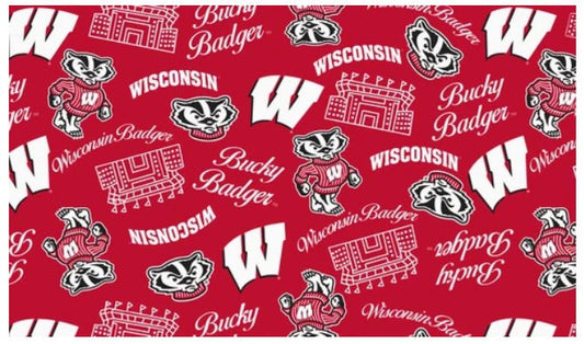 Wisconsin Badgers NCAA College Mini Stadium Logo Sykel Enteprises Cotton Fabric WIS-1389