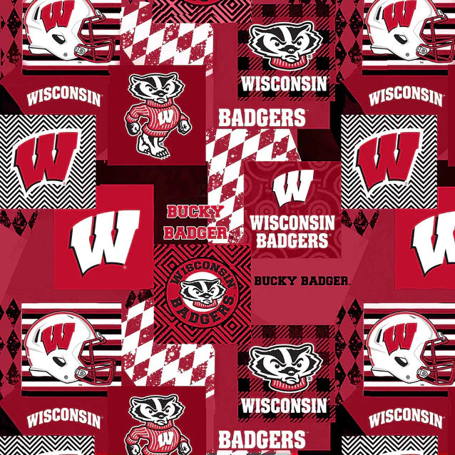 Wisconsin Badgers NCAA College Collegiate Minky Geo Sykel Enterprises Polyester Fabric WIS-1367