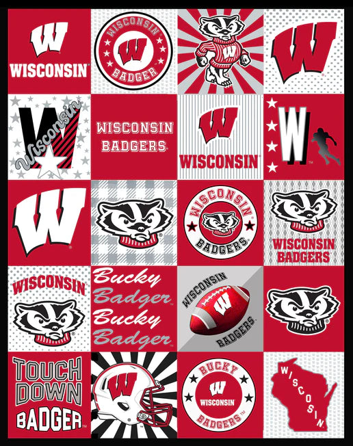 Wisconsin Badgers NCAA College Collegiate T-Shirt Panel 60"x60" Sykel Enterprises Polyester Minky Fabric WIS-1362