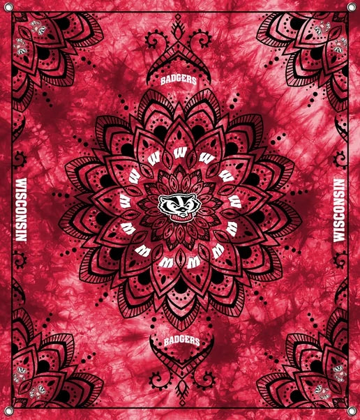 Wisconsin Badgers NCAA College Tapestry Spirit Banner 58x47 inches Sykel Enterprises 4 Grommets Polyester Fabric WIS-5001
